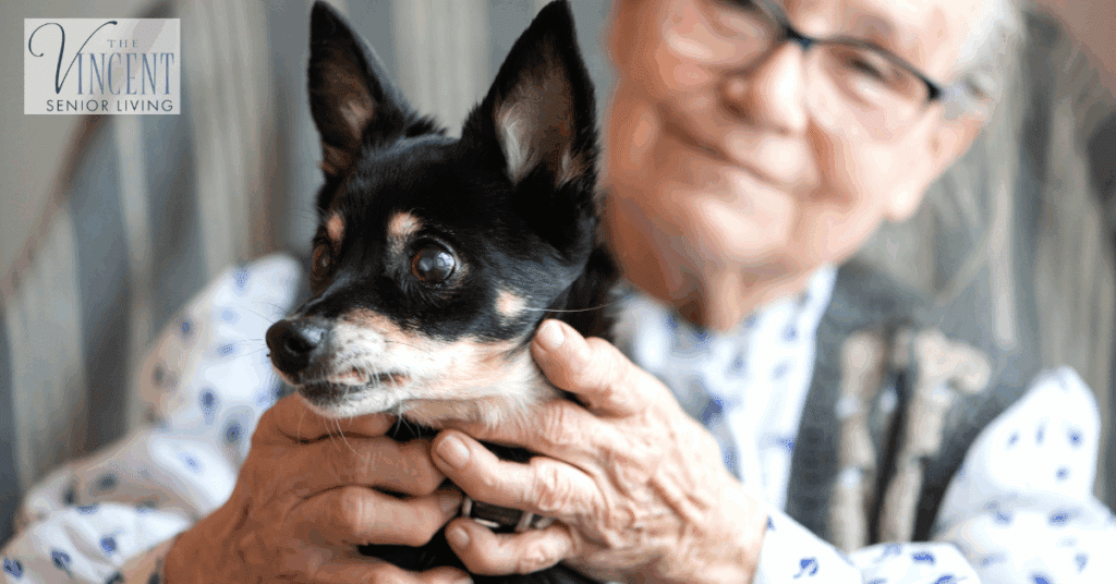 An old woman hugging her dog smiling at the camera. The benefits of pet therapy for seniors.
